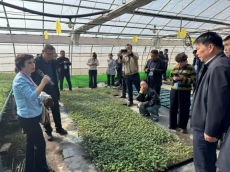 “线虫专家陕西行”走进宝鸡 科技赋能助力农业提质增效